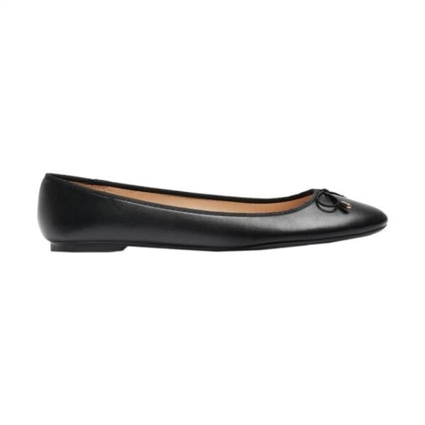 Chaussure Noir