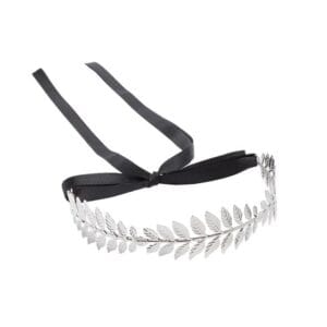 Accessoire Cheveux