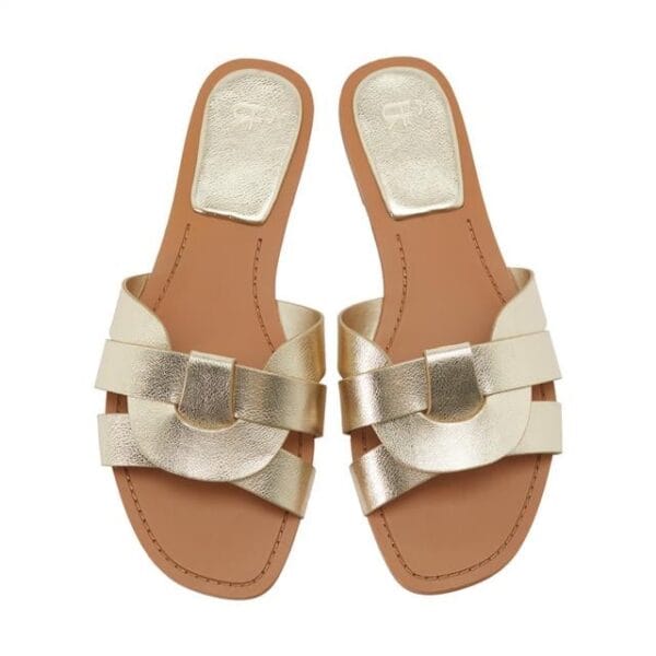 Chaussure Or
