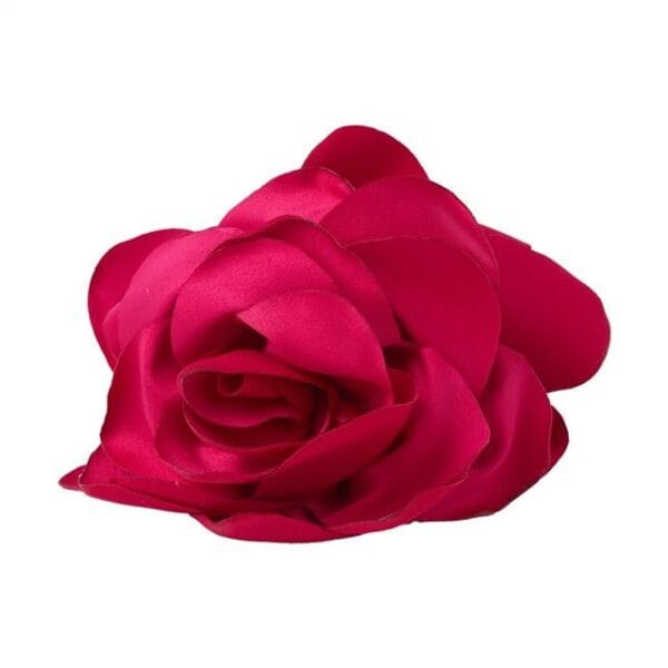 Accessoire Cheveux Fuchsia