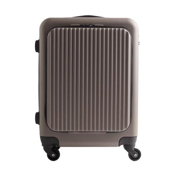 Bagage Voyage Taupe