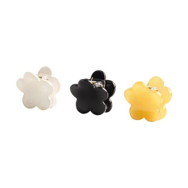 Accessoire Cheveux Multicolore