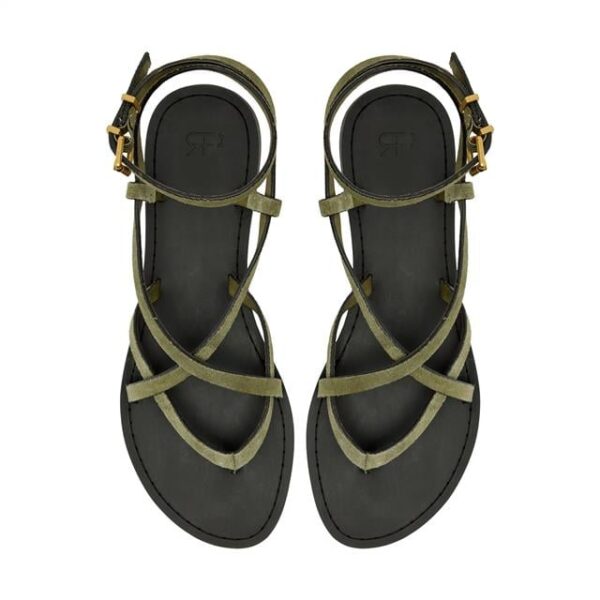 Chaussure Kaki