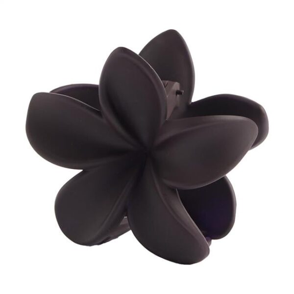 Accessoire Cheveux Marron