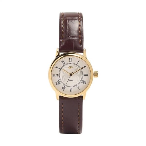 Montre Marron
